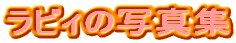 ���r�B�̎ʐ^�W